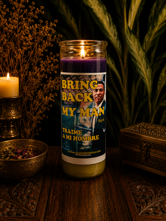 How to Write a Petition for a Fixed Candle | Beginner's Guide