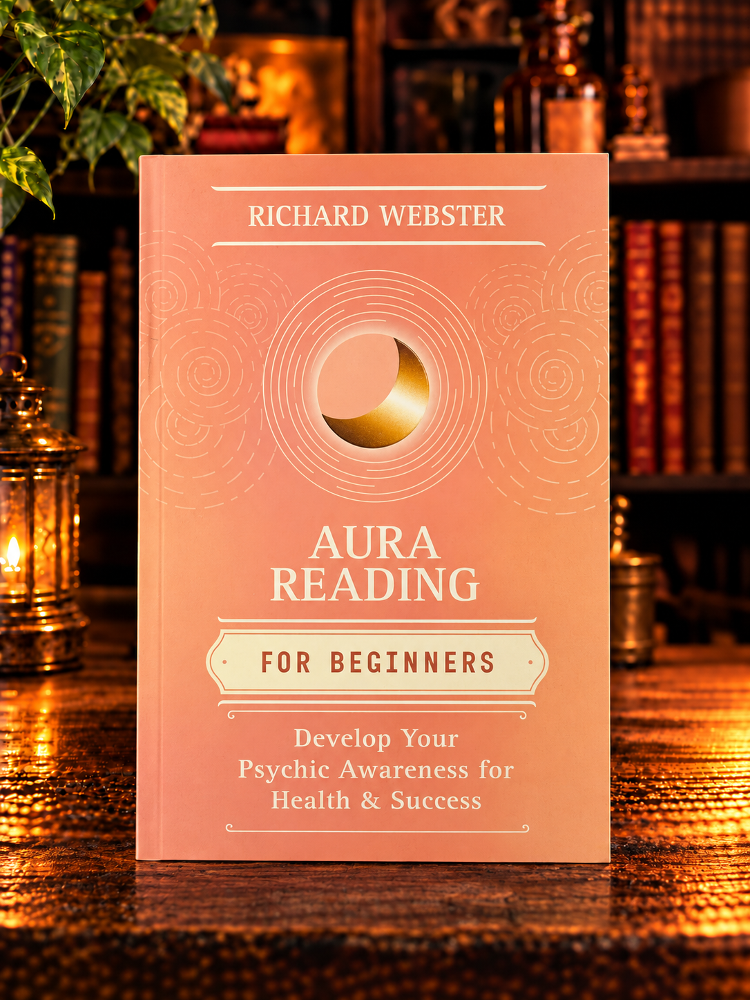 Aura Reading for Beginners by Richard Webster | Psychic Development Book