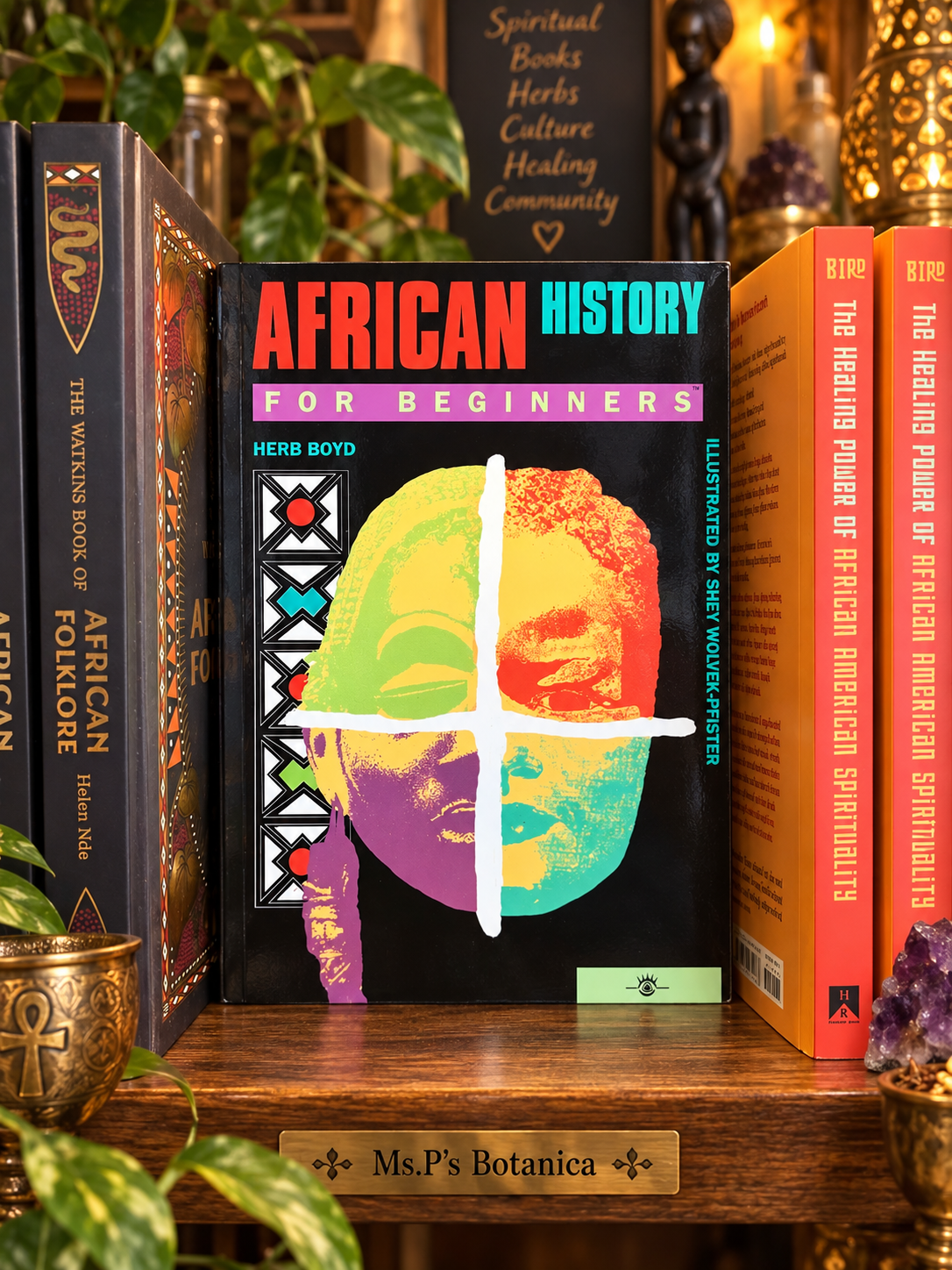 African History for Beginners by Herb Boyd